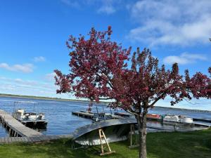 Snug Harbour Cottage and Marina