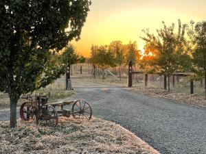 obrázek - Maple Lane Farm Stay