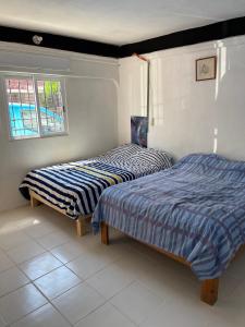 Casa Nova! PRIVATE BATHROOM AND ROOM