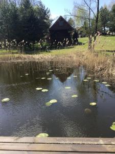 Agroturystyka Giże - domek letni