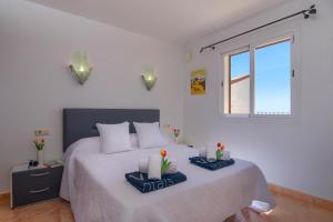 Dailly by Aguilarent