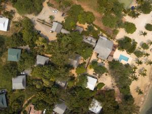 Tropical Breeze in Palmetto Bay