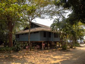 Tropical Breeze in Palmetto Bay