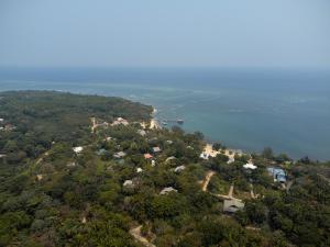 Tropical Breeze in Palmetto Bay