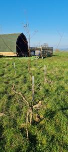 Cherry Trees Farm Campsite