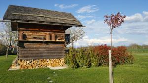 Maisons de vacances Gite / chalet meuble pour 2 personnes le 1780 : photos des chambres