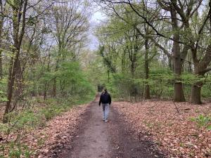 Stacaravan huren in het hart van bosrijk Drenthe op Recreatiepark De Tien Heugten