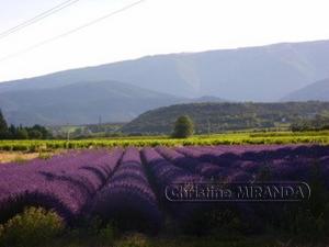 La Chapelle Gite avec piscine chauffee