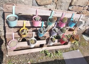 LIncanto Divino Di fronte solo lorizzonte!