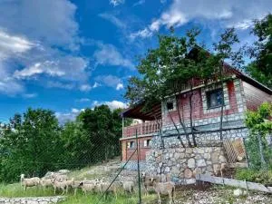 Mountain Village House - Poljana