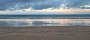 Appartements Les pieds dans l'eau : photos des chambres