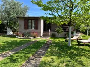 Les Olives Woodhouse - 新阿尔塔基