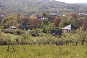 Saint Friday Cottage - Retreat, Garden and Forest