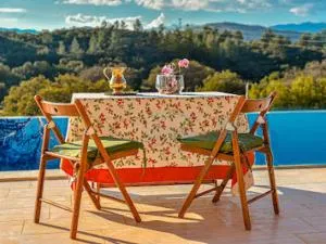 Stone house with private infinity pool - Davazlar