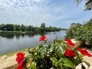 Maisons de vacances Gite 