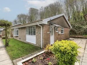 Badger Sett in Granite Henge near Looe - Pelynt