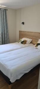 Hotels La ferme de l'Aubrac : Grande Chambre Double 