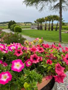 obrázek - Agriturismo Santa Lucia