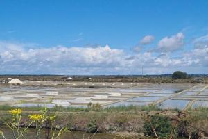 Maisons de vacances Maison 50 m de la plage Valentin : photos des chambres