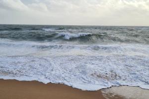 Maisons de vacances Maison 50 m de la plage Valentin : photos des chambres