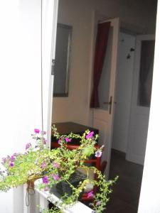B&B Il Gatto Pescatore img36