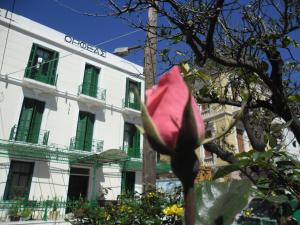 Orfeas Hotel Lesvos Greece