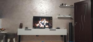 SOPHIA Central Studio