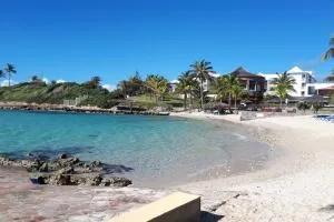 Perle de l'Alamanda - Belle-Allée