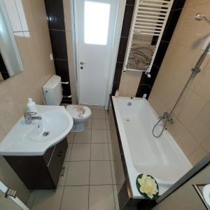 Anastasia Apt 24B Beautiful View