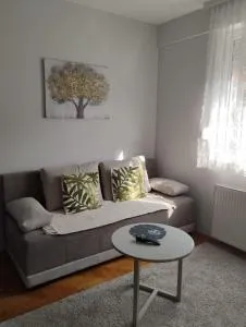 Stan na dan Ivana - Rujevac