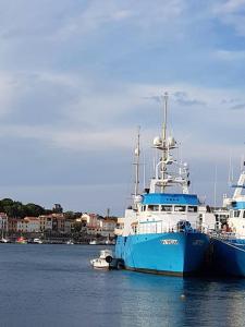 Appartements COMME UNE MAISON pied port et plages et 2km COLLIOURE : photos des chambres