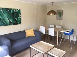 Chalet met Veranda en whirlpool gelegen in NP Drents Friese Wold, camping met zwembad 70