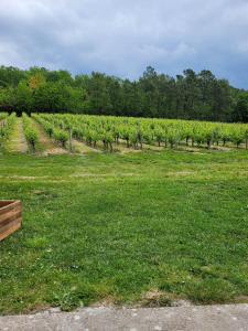 B&B / Chambres d'hotes A L'OMBRE DE LA TREILLE -Proche Saint-Emilion : Studio Familial