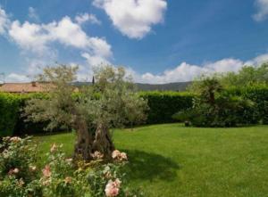 Fantastica villa full optional allIsola dElba