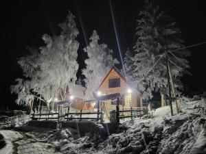 Weekend house Lokve - Retro