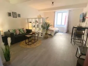 Studio coeur de ville proche Bords de Loire - 圣让勒布朗