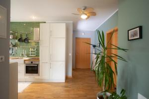 Apartment Rozalija Žirovnica 