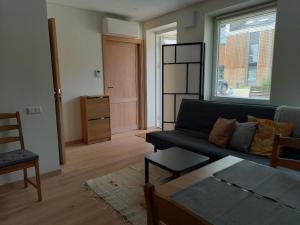 Two room apartment with terrace, Nida