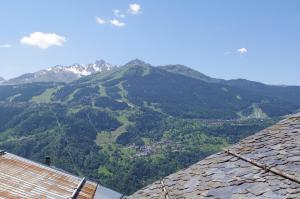 Appartement Dans Chalet de Montagne