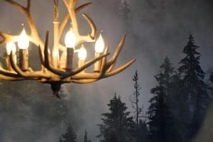 Ferienwohnung Villa Augusta-Bel Etage mit Infrarotkabine