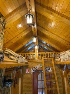 Pensiunea Lavinia Daniel