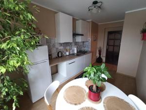 Apartament Suwalski Zakątek