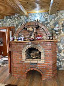 Pensiunea Lavinia Daniel