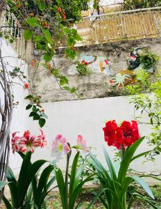 Pagrati Green Studio