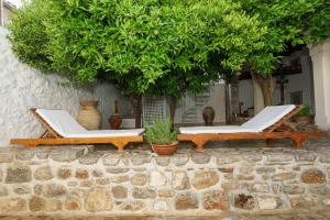 LIVIN Hydra Garden Suite