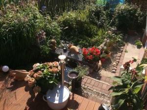 Schwalbennest_ Silke Felix