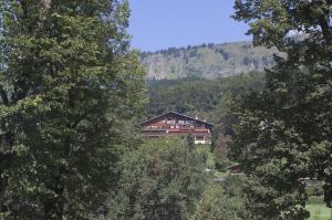 Edelweiss photo 18