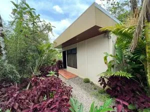 Hotel Rio Celeste to Know - 福尔图纳