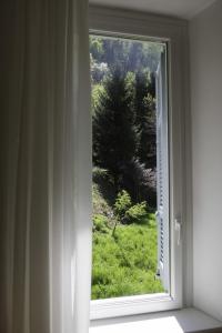 Double or Twin Room with Mountain View room in Hotel Villa Aurora
