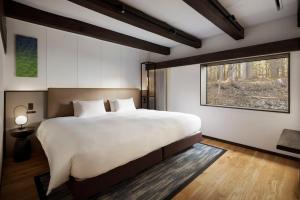 SOMA RESIDENCE HAKUBA